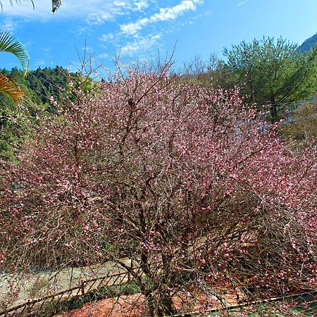 Li Jin Kuan Homestay Nanzhuang Dış mekan fotoğraf