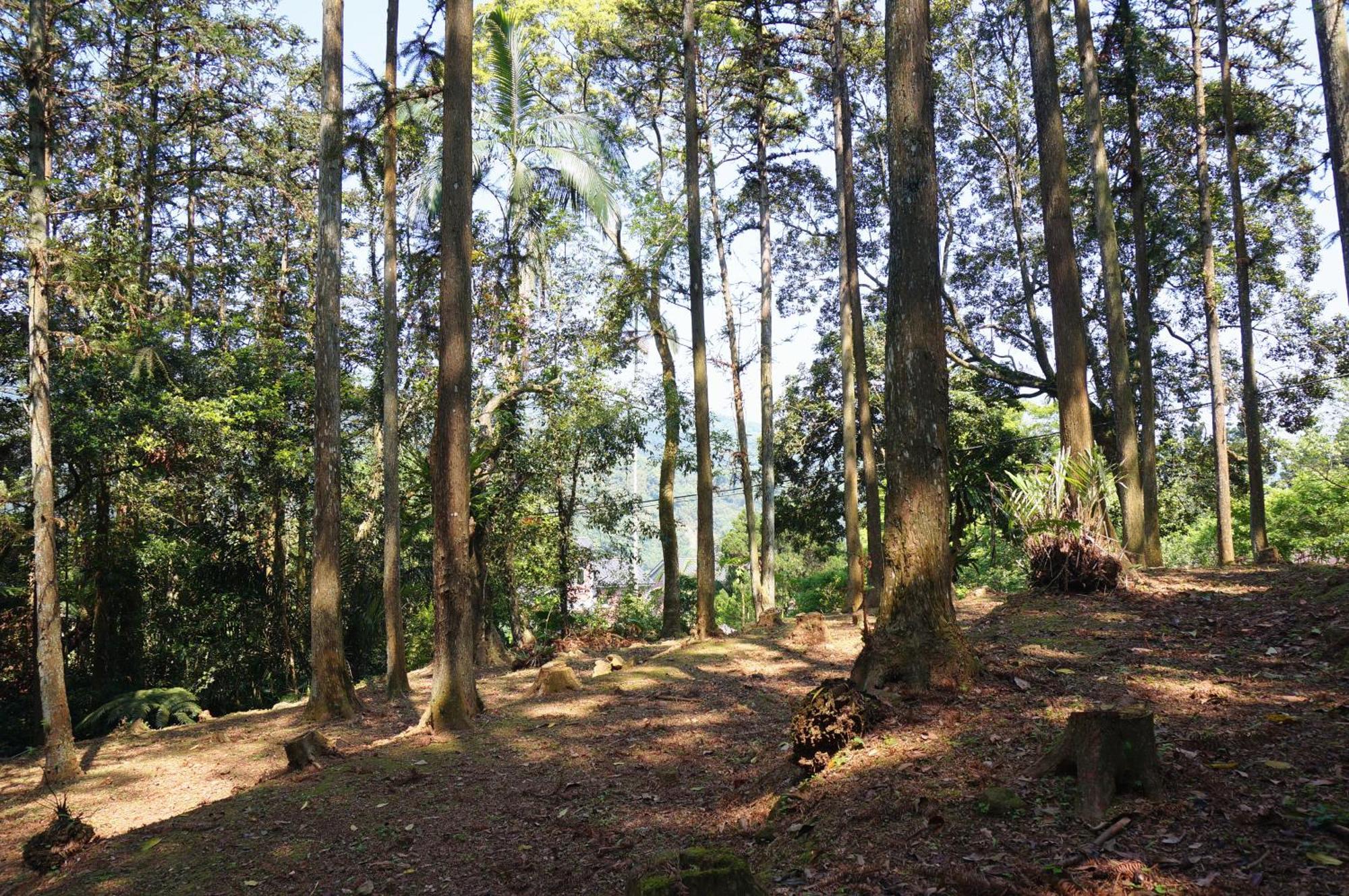 Li Jin Kuan Homestay Nanzhuang Dış mekan fotoğraf
